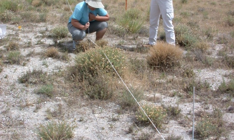 Caracterización de la sucesión vegetal tras el abandono de cultivos en comunidades gipsícolas de La Mancha (Mesa de Ocaña, Toledo)