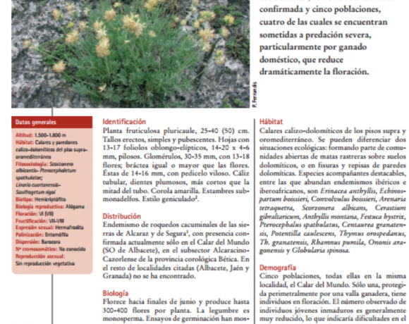 Genetic characterization and variation within and among populations of Anthyllis rupestris Coss. and endangered endemism of southern Spain