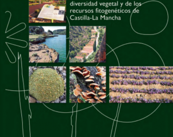 Evaluación de riesgos de extinción y prioridades para la conservación de la flora silvestre y vegetación en Castilla-La Mancha
