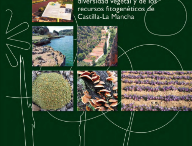 Poblaciones amenazadas de interés forestal en Castilla-La Mancha