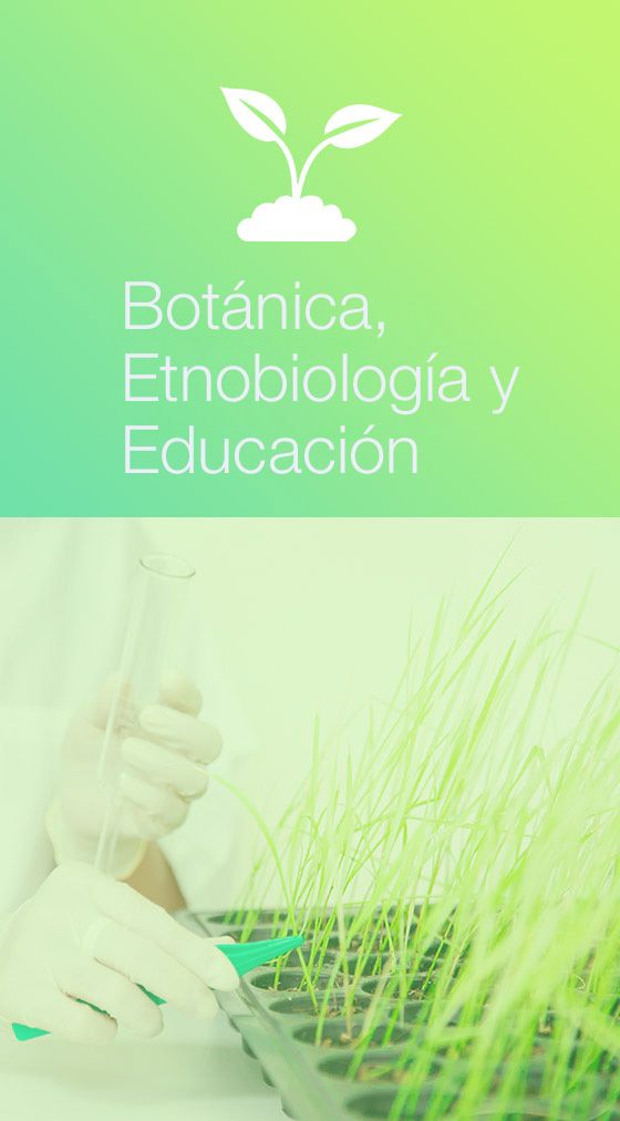 botanica-etnobiologia-educacion